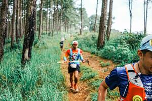 BIB: 
                            <button type="button" onclick="openModal(25654955)" class="btn btn-primary btn-sm float-right btn-popup" data-toggle="modal" data-target=".modal-high-quality">
                        <i class="fas fa-shopping-cart"></i> Add to Cart
                    </button>
                                            <button type="button" onclick="isThisMe(25654955, true)" class="btn btn-success btn-sm float-right btn-popup btn-isme hidden" data-toggle="tooltip" data-placement="bottom" title="นี่คือรูปของคุณใช่ไหม คลิกที่นี่เพื่อเอาเข้าอัลบั้ม">
                        <i class="fas fa-plus"></i> Add to album
                    </button>
                    <button type="button" onclick="isThisMe(25654955, false)" class="btn btn-warning btn-sm float-right btn-popup btn-isnotme hidden">
                        <i class="fas fa-ban"></i> Remove from album
                    </button>